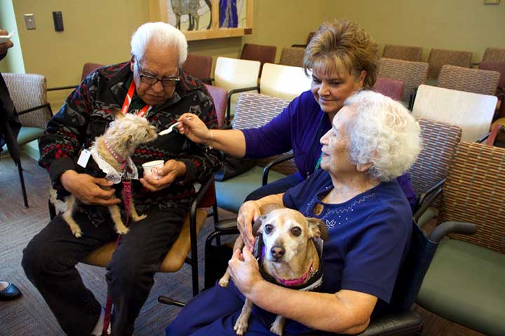 Embajadores de 4 Patas